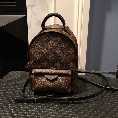 louis vuitton palm springs mm|louis vuitton backpack mini.